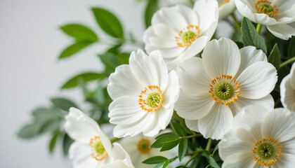 Obraz premium White flowers with greenery in a bright setting