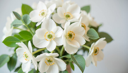 Fototapeta premium White flowers in bouquet against soft background