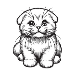 Vector illustration of a lop-eared kitten in line art style. Simple. Design for clothes, packaging. Vector