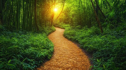 Sunlit Path Winding Through Lush Bamboo Forest