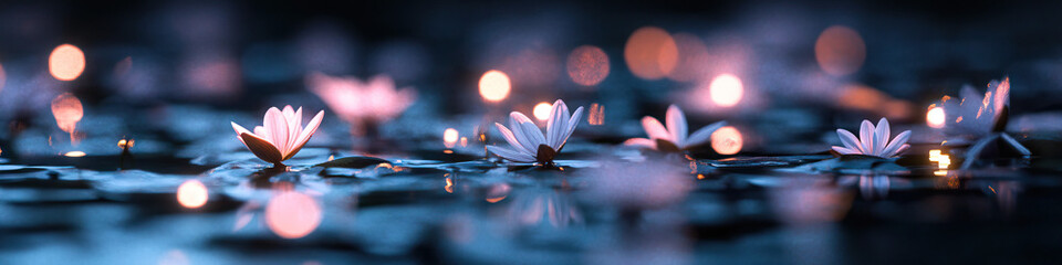 Water Lilies and Bokeh Lights at Night