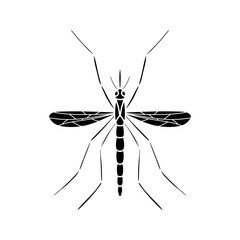 Mosquito isolated on white background. Black and white illustration.