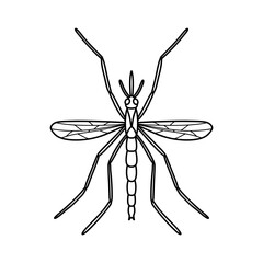 Mosquito icon flat design template vector illustration. mosquito line art drawing vector