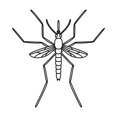 Mosquito icon flat design template vector illustration. mosquito line art drawing vector