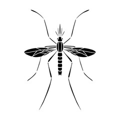 Mosquito isolated on white background. Black and white illustration.