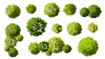 set of green grass, Vector of green tree side view isolated on white background ,watercolor tree elevation for landscape concept,environment scene,eco design, garden for spring