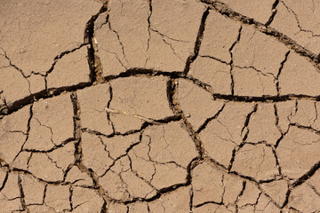 dried soil. drought-cracked lake floor photos