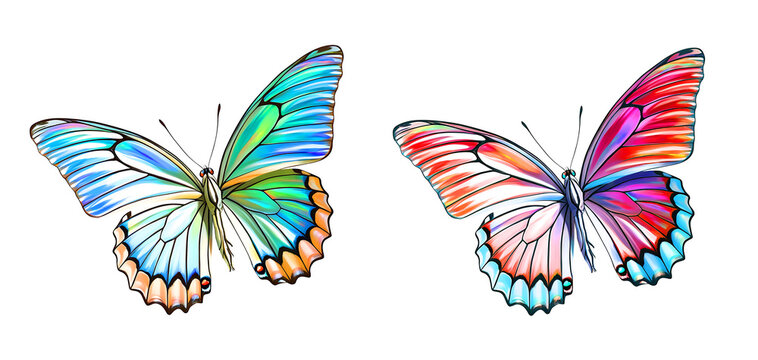Morpho & Swallowtail Butterfly Illustration &ndash; Vibrant Fantasy Wings
