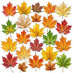 Fototapeta premium autumn leaves collection