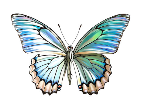 Crystal Morpho Butterfly &ndash; Elegant Fantasy Winged Art