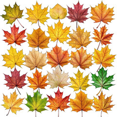 autumn leaves collection