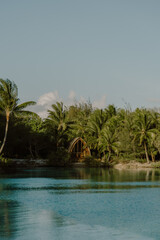 A hidden oasis tucked away in palms where a charming wooden hut meets the crystal clear lagoon. A dreamy escape into nature’s embrace  perfect for solitude serenity and tropical bliss in Bora Bora