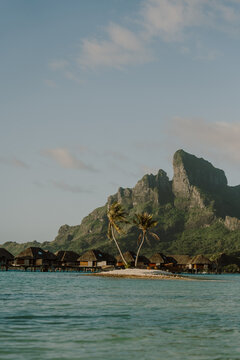 A serene tropical beach with swaying palm trees and overwater bungalows in the background, bathed in warm golden light. A peaceful escape to paradise where the ocean meets island greenery in Bora Bora