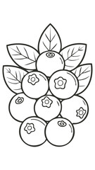 Blueberry Fruit Food Meal Healthy Coloring Kid Book Page in Black and White. Monochrome and Colored Samples
