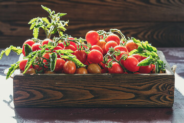Freshly picked cherry tomatoes overflowing a rustic wooden crate