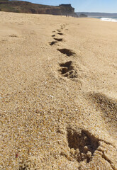 Gentle waves rolling onto sandy beach at sunrise, creating bubbles and a shimmering surface