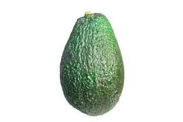 Green avocado fruit