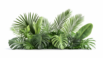 Lush tropical foliage in bright studio. Natural, organic, vibrant, background use