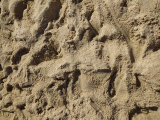 Fine golden sand covering a beach during a sunny day with clear skies, creating a serene and tranquil atmosphere for relaxation