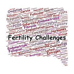 Fertility Challenges Word Cloud
