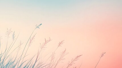 Fototapeta premium Tall gentle grass sways against a soft pastel sky