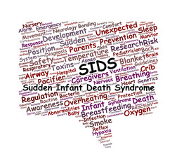 SIDS Word Cloud