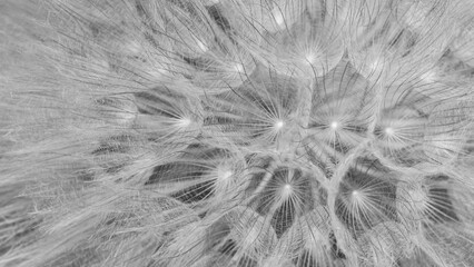 Photos of various flowers, plants and leaves for the background.