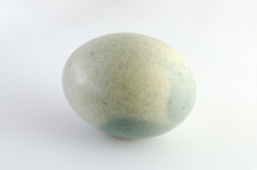 Century Egg: A Culinary Delicacy