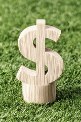 Wooden dollar sign on green grass Symbolizing growth, money and financial topics