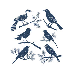 Birds Silhouette Clipart Set Vector Illustration Collection