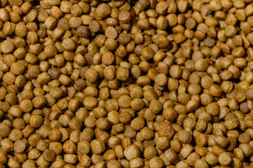 Discovering the texture and richness of kibble in a close-up view of pet food