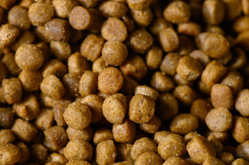 Nourishing pet food pellets in a close-up view showcasing their texture and color variations