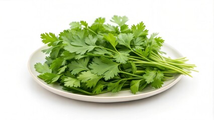 Fresh Cilantro on Plate Isolated.