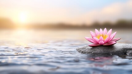 a pink lotus flower sitting atop a rock in the water, with a blurred background
