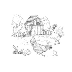 Landscape with a hen, chicks and a rooster on the background of trees, bushes and a chicken coop. Vector illustration drawn with ink by hand. Sketch scene of a farm. © Anastasiia