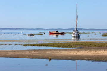 Arcachon bay, Arcachon, Gironde department, Nouvelle-Aquitaine, France, Europe
