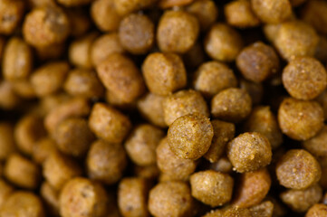 Crunchy and nourishing pet food pellets ready to energize your furry companions with every bite