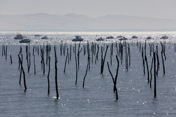 Dune du Pilat with wooden posts marking oyster beds in foreground viewed from Cap Ferret, Arcachon, Gironde department, Nouvelle-Aquitaine, France, Europe