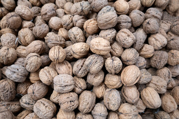 Walnuts, Gironde department, Nouvelle-Aquitaine, France, Europe
