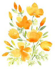 Bouquet of California poppies in watercolor