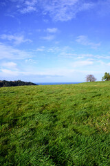 Horizonte marino tras pradera verde 