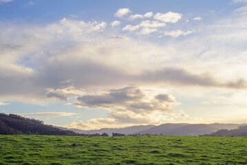 Pradera de hierba verde en invierno en Asturias al atardecer