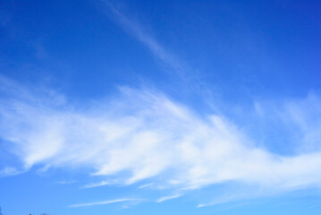 Fototapeta premium Cielo azul con nubes de viento