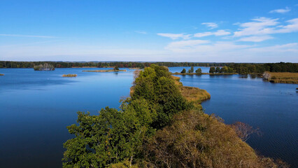 Obraz premium trees in water view from above lake