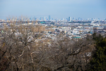 神奈川の枡形山から見る東京の風景