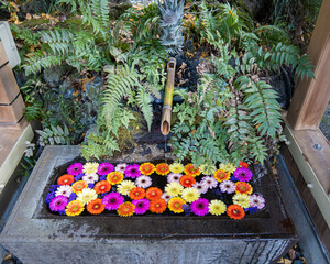 神社の手水舎に浮かぶ花