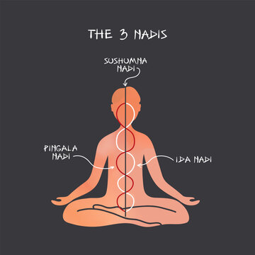The Three Nadis Infographic