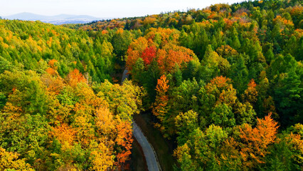 Obraz premium Autumn forest top view nature landscape