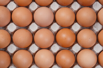 A close-up shot of a carton filled with neatly arranged brown eggs