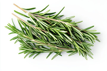 Fresh green rosemary sprigs ideal for cooking or garnish. isolated on white background.
